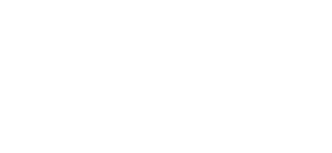 Alphonse Gallery Morocco Cases